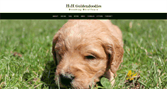 Desktop Screenshot of hhgoldendoodles.com